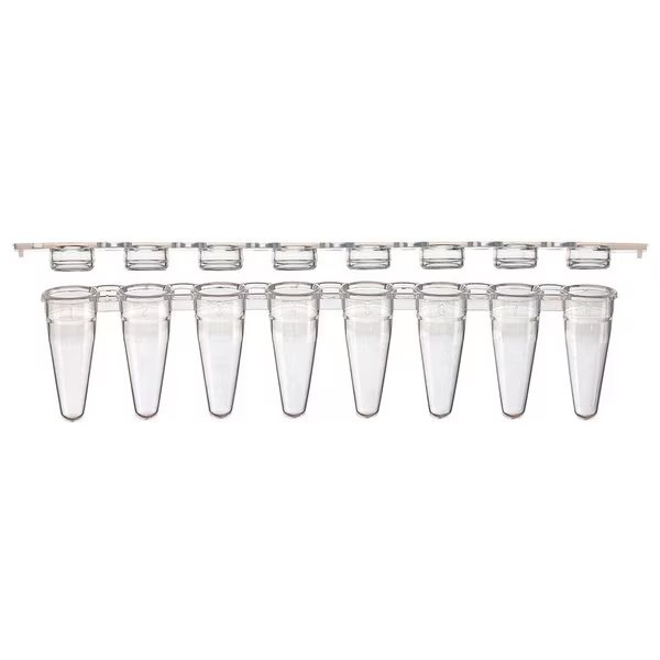 PCR 8-strip tubes, 0.1mL, low profile, PP, natural PK, Globe Scientific, Mfr#: PCR-STR-01F